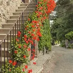 Tenuta Il Cicalino *