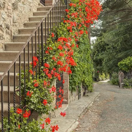 Tenuta Il Cicalino *