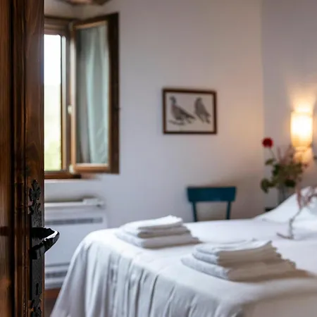 Tenuta Il Cicalino