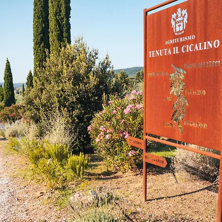 Tenuta Il Cicalino Séjour à la ferme Massa Marittima
