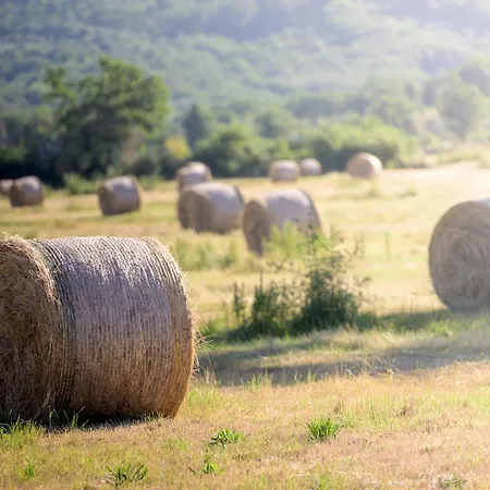 Tenuta Il Cicalino Farm stay Massa Marittima