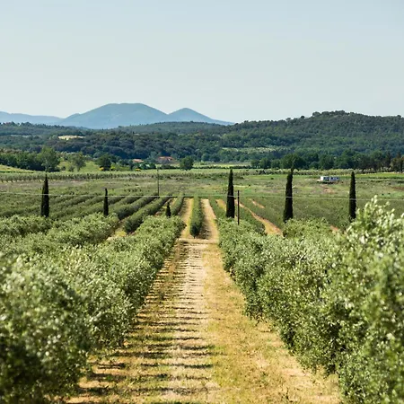 Tenuta Il Cicalino * Massa Marittima